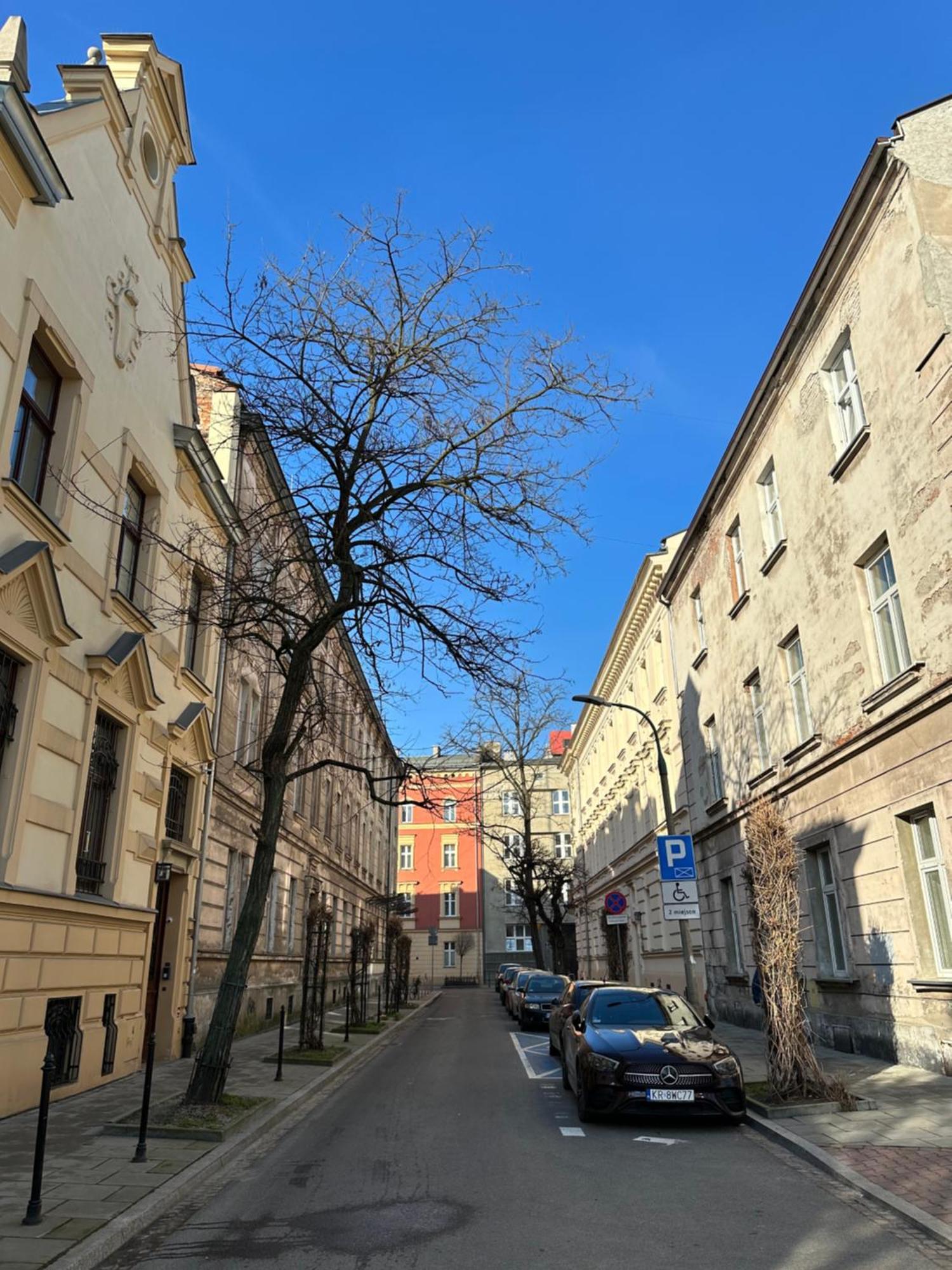 Perfect Place To Stay In Krakow City Center 36M2 W3 Exterior photo